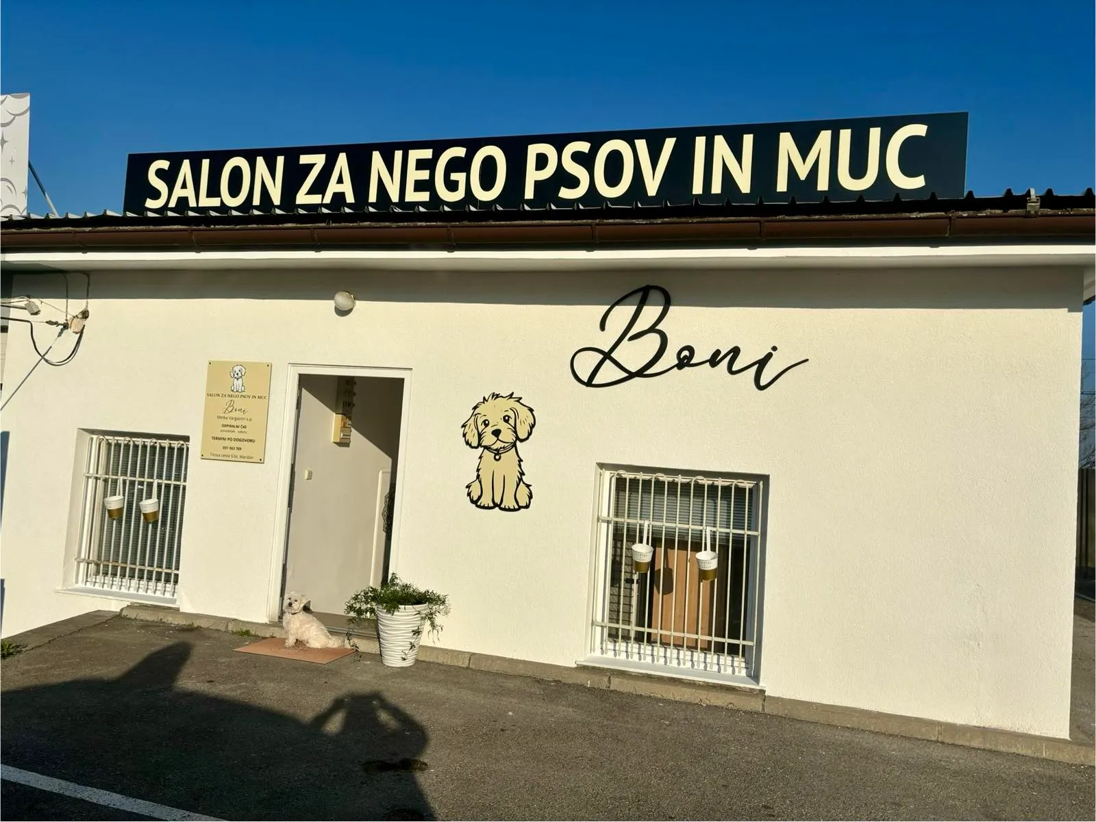 Pasji salon Boni