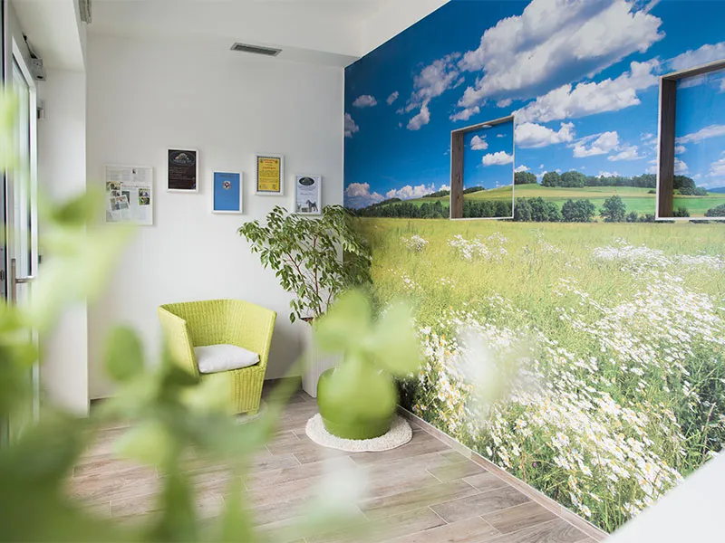 Salon za nego psov Natura